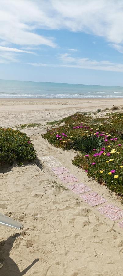 Casa Roberto Beach Torvaianica Kültér fotó